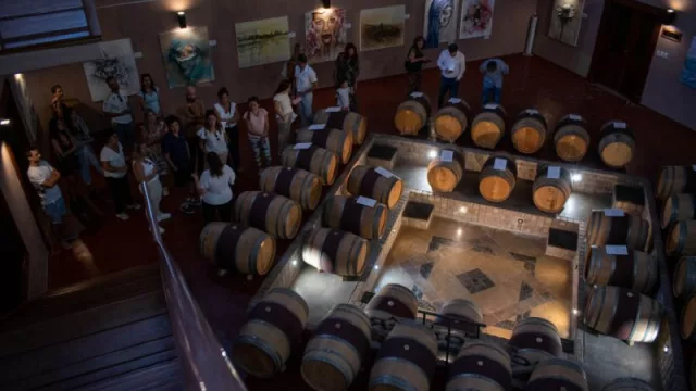 Bodega Familia Schroeder invita a vivir las vacaciones de invierno con experiencias exclusivas