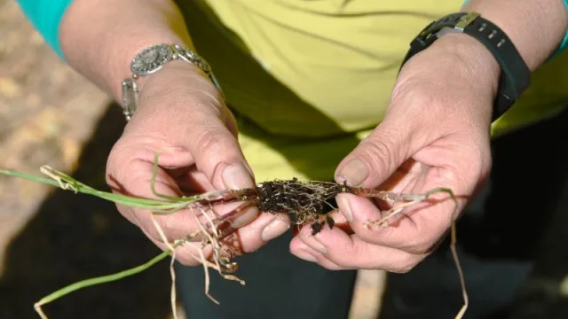 Buenas prácticas y créditos, tema de una jornada destinada a productores del departamento