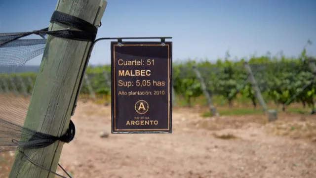 Alto Agrelo ya es Indicación Geográfica reconocida oficialmente en el mapa vitivinícola argentino