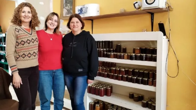 Una ayuda que fortalece  la producción y el trabajo de la economía social