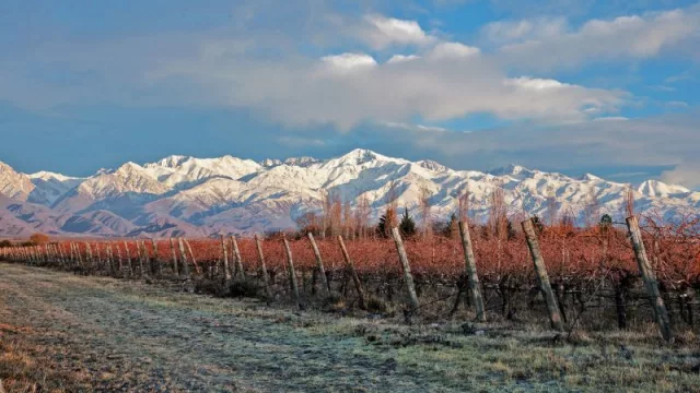 Las propuestas de invierno de Bodega Piedra Negra: cabalgatas entre viñedos y descuentos especiales