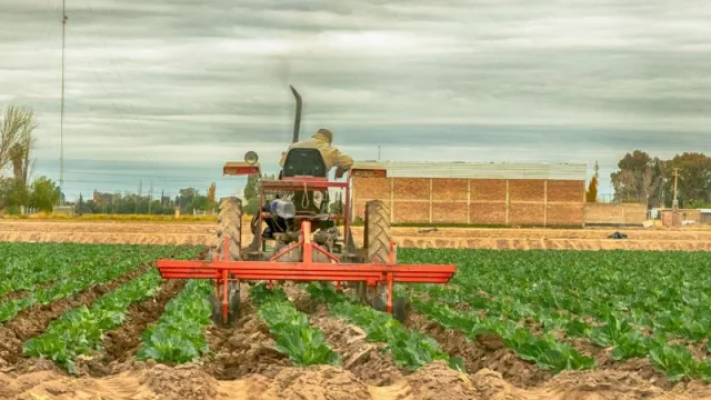 Un programa que cuida el ambiente y acompaña a los productores