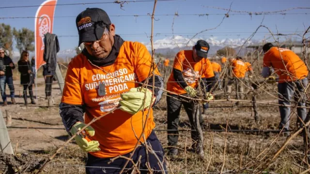 Desafío Bahco: 13 años celebrando la poda, el oficio  y la pasión