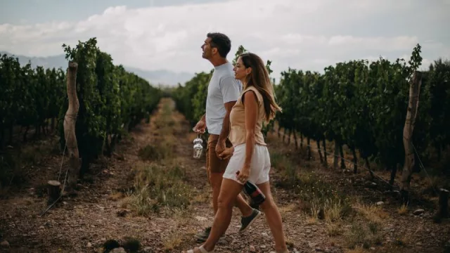 Rosell Boher Lodge Wellness Day: enoturismo premium en Mendoza