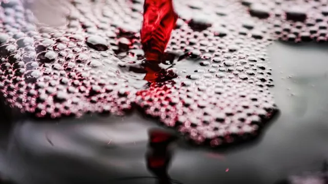 Llega la 3ra edición de “El Futuro del Vino Argentino”: información estratégica y conferencias con invitados de renombre mundial