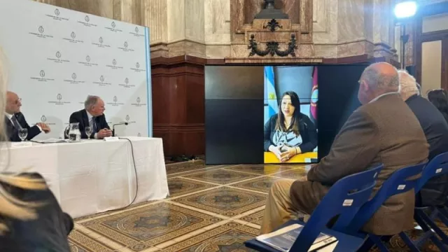 El Cofemin presidido por Salta llevó la voz federal de la minería al Senado de la Nación