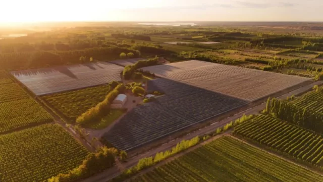 Mallas fotoselectivas Agrinet: la revolución de la luz en la agricultura sostenible