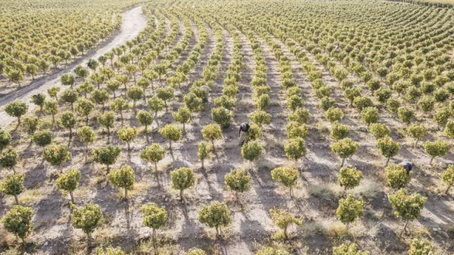 Selección de Bodega 2021: el vino ícono de Doña Paula alcanza su máxima expresión