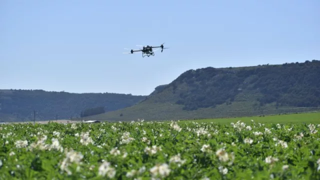 McCain Foods y Arcos Dorados, trabajando juntos hacia una Agricultura Regenerativa en Argentina