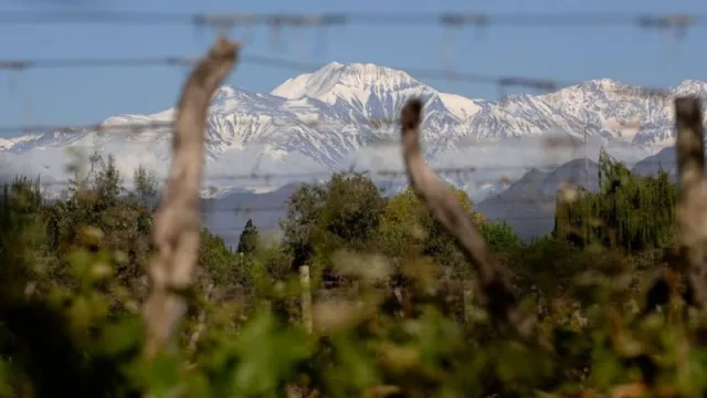 La D.O.C. Luján de Cuyo consolida su crecimiento (y avanza en la caracterización de sus distritos vitivinícolas)