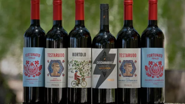 Bodega Pumalek un paso adelante: enología y etiquetas renovadas para sus vinos