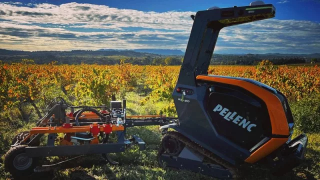 Las cinco tendencias globales que marcarán el agro en 2026 y su impacto en Mendoza