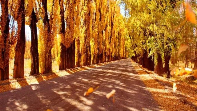 Mendoza, entre las 10 mejores ciudades del mundo para viajar en 2026 (según Time Out)