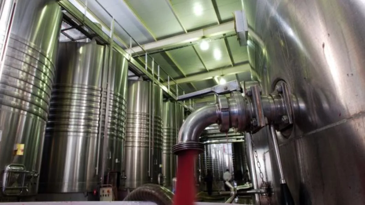 Mendoza impulsa las exportaciones de vino a granel con US$ 20 millones ...