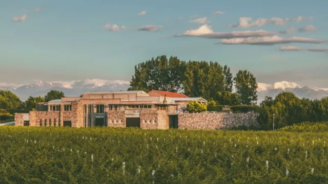 Bodegas Bianchi se sobrepone a la crisis financiera y continua en el escenario de la vitivinicultura argentina