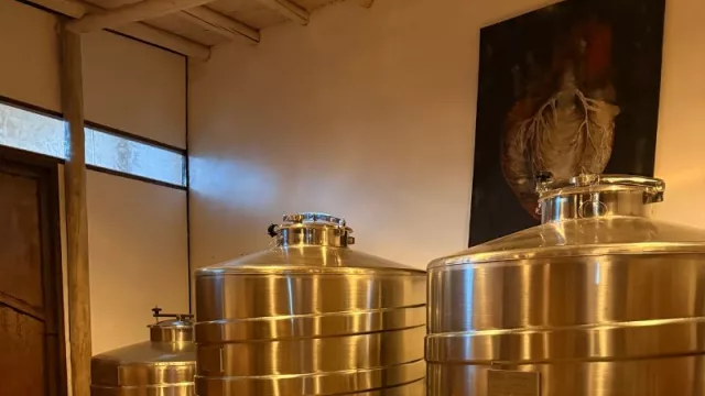 El costo oculto del vino: cómo la microbiología evita pérdidas millonarias en las bodegas