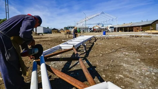 Transformarán residuos forestales en energía para calefaccionar a familias de la cordillera