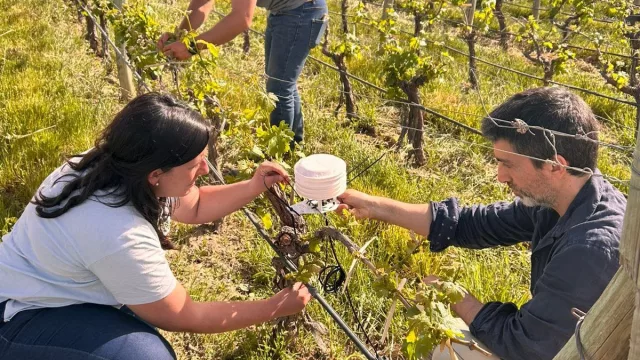 Innovación tecnológica: avanza un proyecto del Hub de Impacto Huella Mendoza