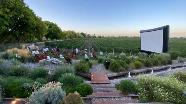 Semana de los Enamorados: “Vino el Cine” celebra San Valentín con funciones especiales entre viñedos mendocinos