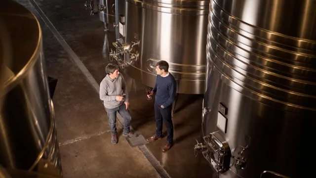 Las bodegas se preparan para la vendimia: qué perfiles serán los más demandados