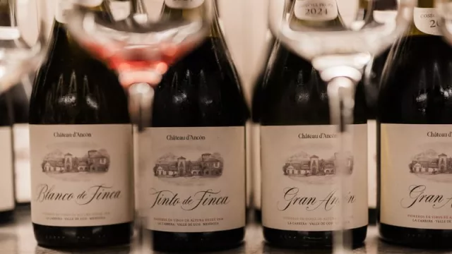 Château d’Ancón inaugura WineSpot, su primer bar de vinos