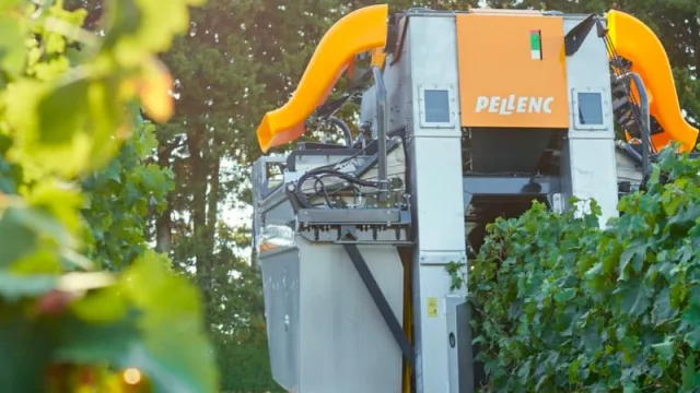 Las cinco tendencias globales que marcarán  el agro en 2026 y su impacto en Mendoza