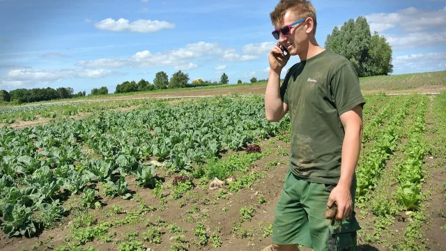 Agro: ofrecen capacitación sobre una normativa clave para acceder a mercados internacionales