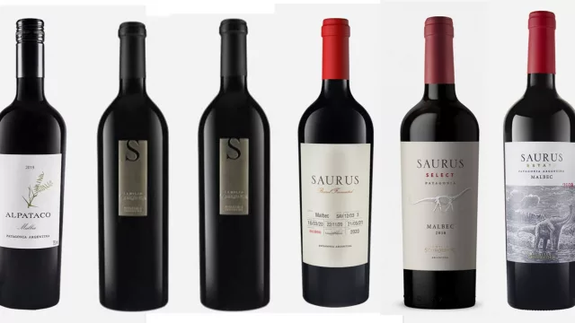 Los seis increíbles Malbecs patagónicos de Bodega Familia Schroeder para celebrar a la gran cepa argentina