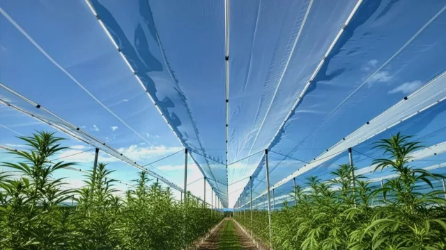 Agrinet marca presencia en Mendocann 2026 y proyecta el futuro del cultivo a cielo abierto en Argentina