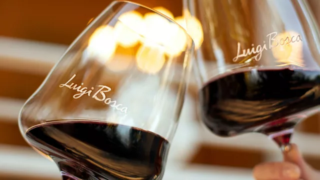 El primer Malbec D.O.C. de la Argentina: un hito en la proyección internacional de Luigi Bosca