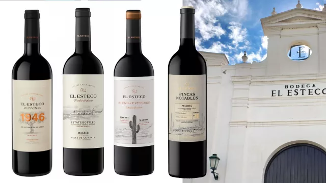 Claudio Maza reivindica la potencia y la elegancia del Malbec de altura del Norte argentino