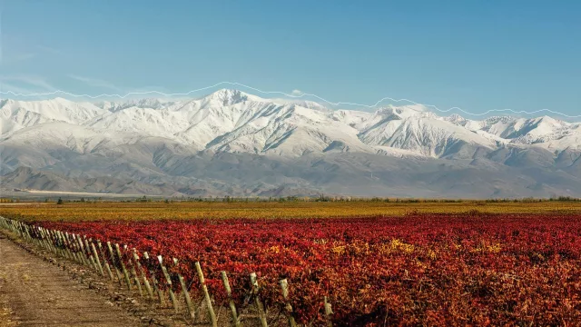 Vinexpo Explorer Mendoza 2026, dedicada al vino a granel, convoca a reunión para bodegas