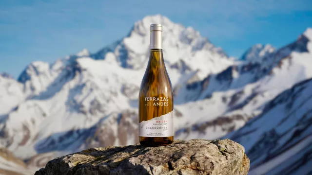 Terrazas de los Andes presenta Origen Gualtallary Chardonnay, el primer blanco de la línea