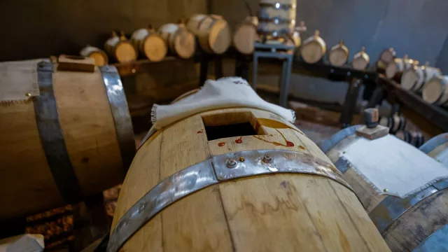 Maipú busca convertir la uva criolla en una nueva oportunidad productiva a través del aceto balsámico