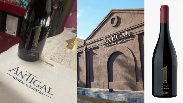 UNO Pinot Noir, nueva expresión de altura, vibrancia y carácter