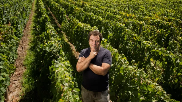 Bodega El Enemigo fue reconocida con tres medallas Platinum en Decanter 2026