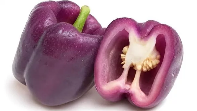 Un productor de Yuto apuesta por pimientos morados (y amplía su oferta hacia mercados de todo el país)