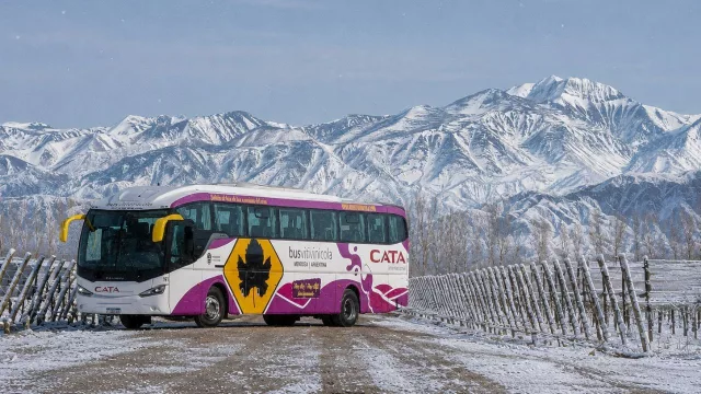 Vacaciones de invierno en Mendoza 2026: Bus Vitivinícola renueva su oferta para un mes de turismo escalonado