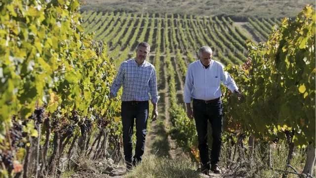 Alta Yarí presenta su Gran Malbec 2024 premiado con Medalla de Platino en Londres
