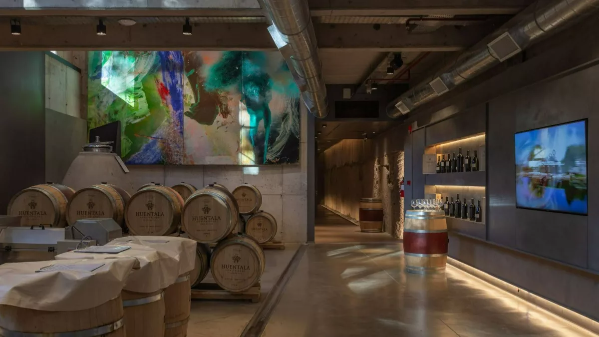 la experiencia de descubrir el proceso del vino de altura en pleno centro de Mendoza