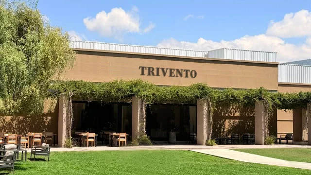 Trivento se posiciona por sexto año consecutivo como el vino argentino N°1 en el mundo en valor