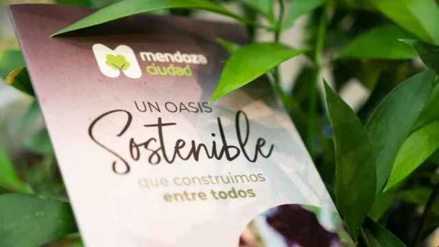 Taller de cocreación para fortalecer proyectos del Fondo de Juventud y Acción Climática