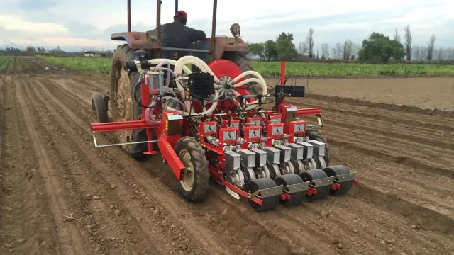 La incorporación de tecnología de poda y siembra asegura la rentabilidad del agro mendocino