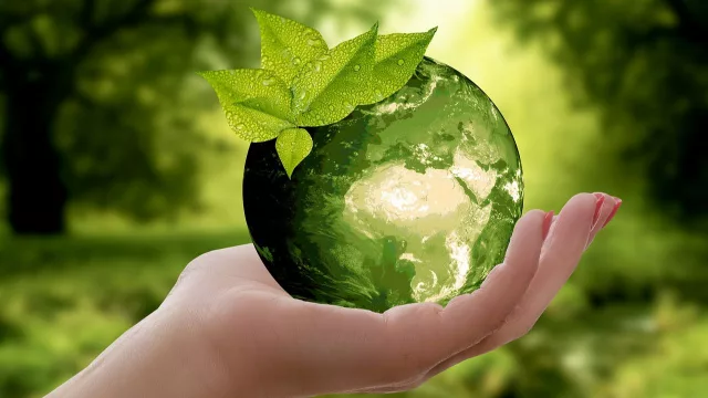 Se amplió el plazo para participar del Fondo de Juventud y Acción Climática