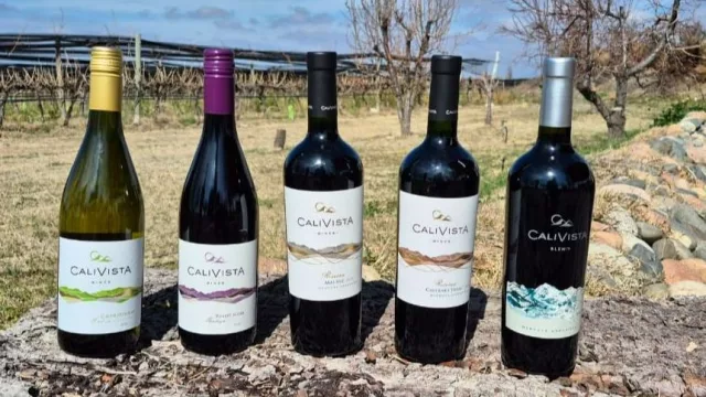 Calivista, el proyecto vitivinícola que encontró en Mendoza su lugar en el mundo