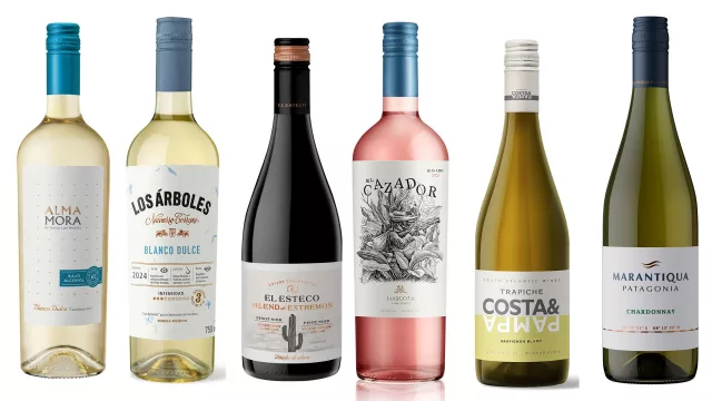 Ocho vinos frescos argentinos para celebrar la primavera (calidad y precio para disfrutar)