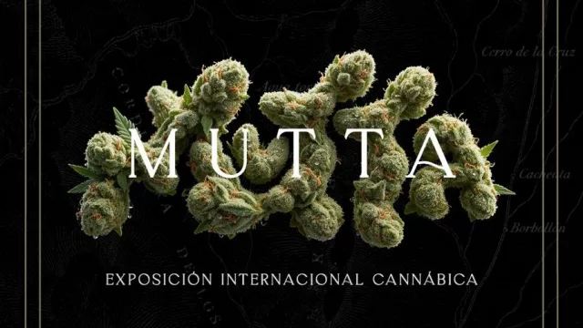 MUTTA MendoCann 2027: la exposición cannábica internacional de Mendoza inicia una nueva etapa y apuesta a los negocios