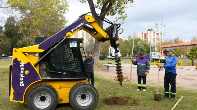 En lo que va del año 2026, Guaymallén ha plantado 1.728 árboles