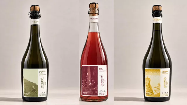 Antropo Wines marca un nuevo hito vitivinícola: Jujuy tiene los primeros espumantes de su historia