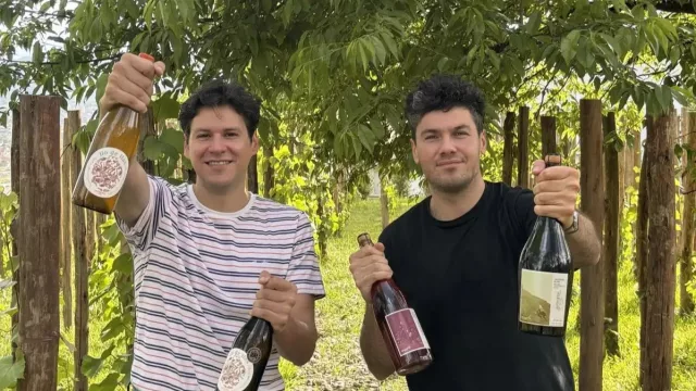 Antropo Wines crece en Jujuy: produce 35.000 botellas al año y desarrolla tres espumantes locales